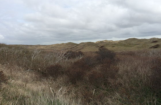 Wandeling De Muy op Texel uitzicht duinen